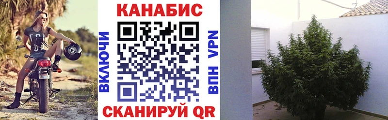 Что такое Заполярный Гашиш  АМФ  Cocaine  НБОМе  Меф  МАРИХУАНА  APVP 