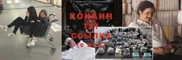 прущие крисы Вязьма