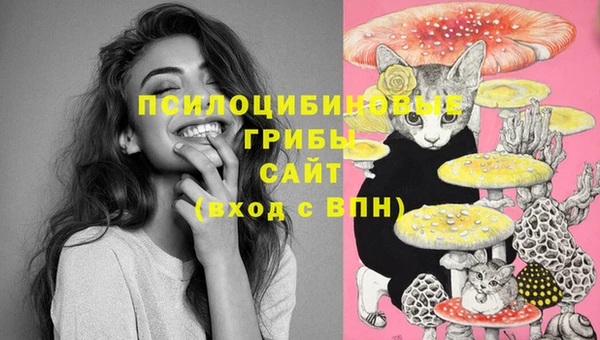 трава Вязники