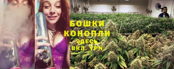 прущие крисы Вязьма
