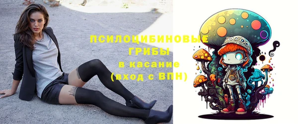 прущие крисы Вязьма