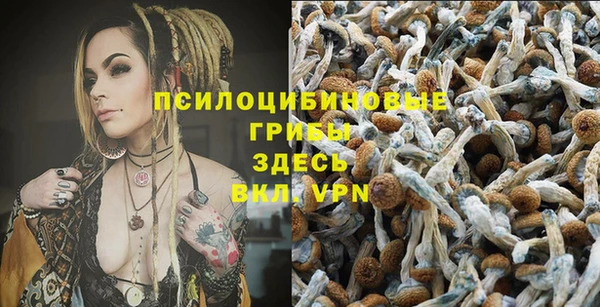 скорость Горнозаводск