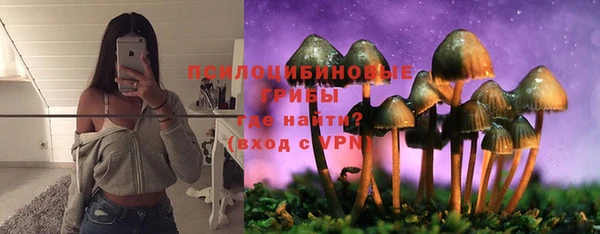 бутират Вяземский