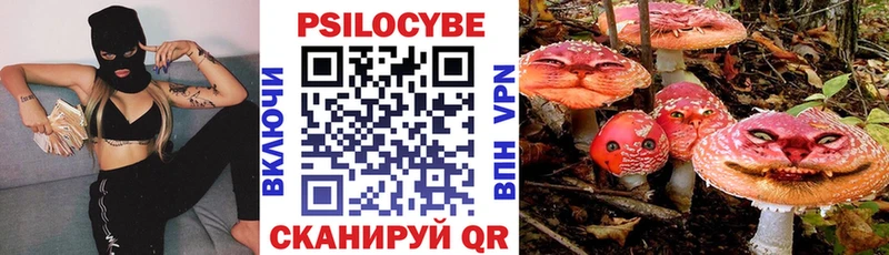 где купить   Заполярный  blacksprut онион  Галлюциногенные грибы Cubensis 