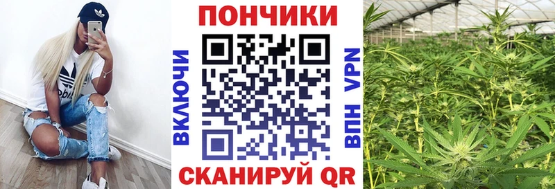 Бошки марихуана гибрид Заполярный